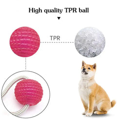 Interactive Suction Cup Dog Toy with TPR Ball