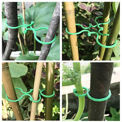 Garden Vine Strapping Clips Plant