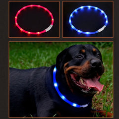 Luminous Pet Collar